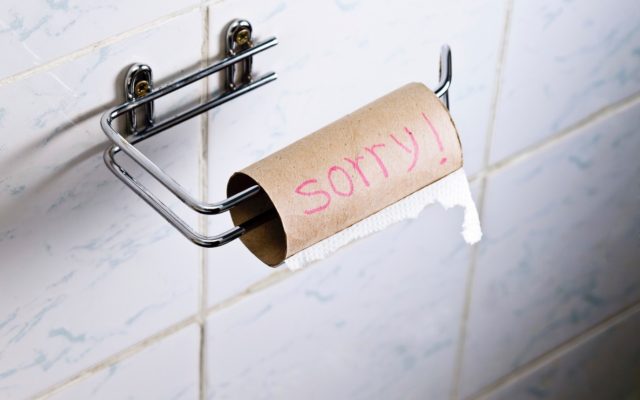 Should You and Your Family Use Cloth, Reusable Toilet Paper?