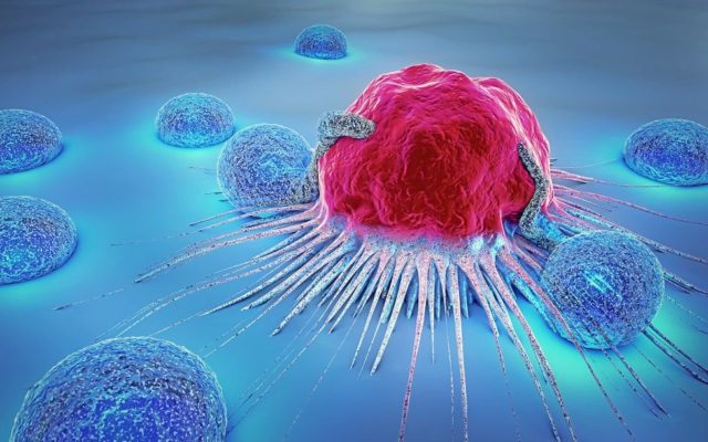 Five Things That Don’t Actually Cause Cancer