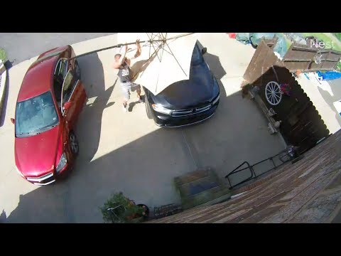 A Man Catches a Flying Patio Umbrella Headed for His Car