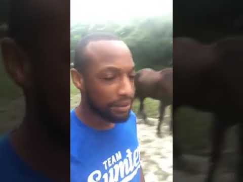 A Guy and His Donkey Sing “The Lion King”