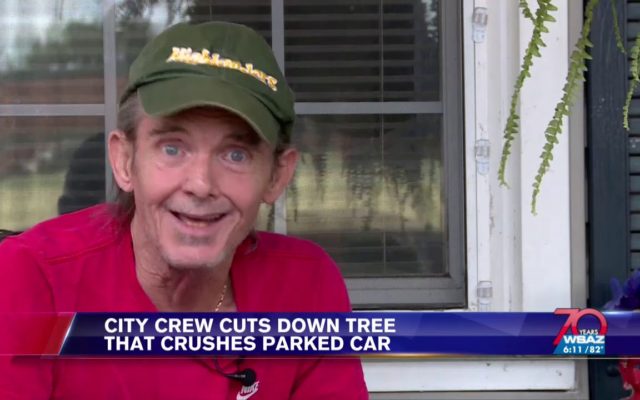 An Eyewitness Compares a Tree Falling on a Car to a Crushed Beer Can