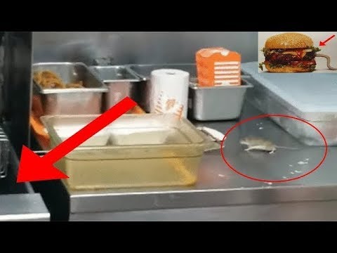 A Mouse Jumps Into the Fryer at a Texas Whataburger