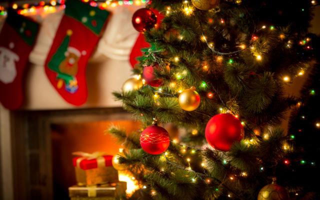 Is Buying a Real or Fake Christmas Tree Better for the Environment?