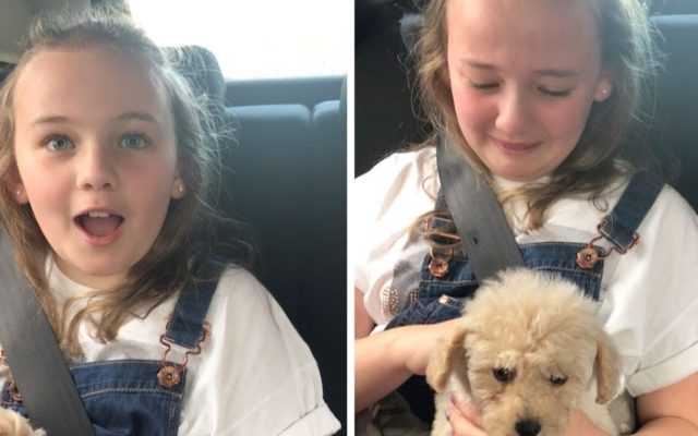 A “Puppy Surprise” Leaves a Girl Speechless