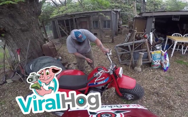 A Dad Giving His Daughter a Three-Wheeler Lesson Falls Immediately