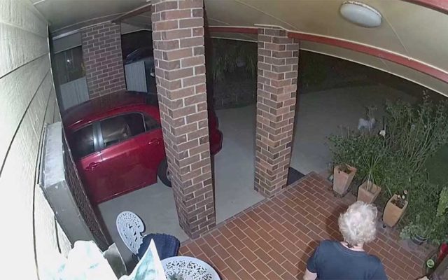 Watch These Burglars Get Scared Away by a Tiny Dog