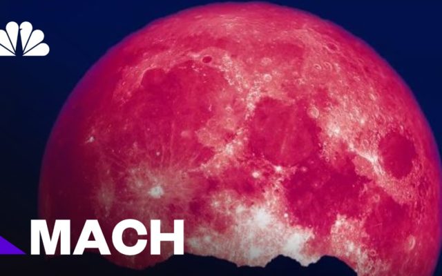 Four Things to Know About Tonight’s “Strawberry Moon”