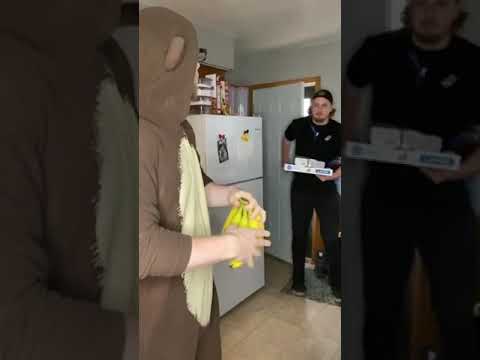 A Guy Impersonating a Monkey Is Interrupted by His Roommate