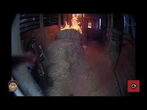 WOW! Cops Rescue a Horse from a Burning Barn