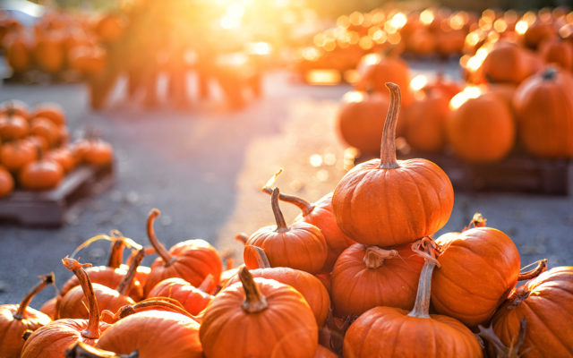 Five Health Benefits of Eating Pumpkin
