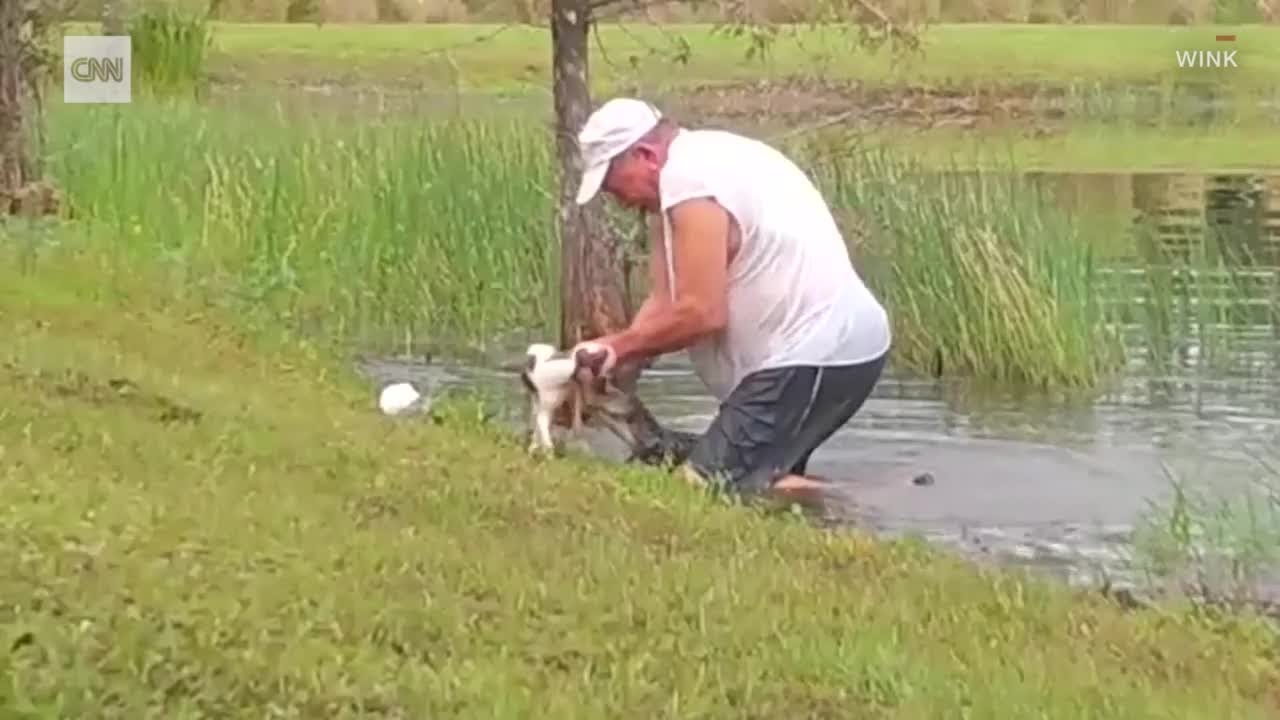 A Man Rescues His Dog From the Jaws of an Alligator  100.5 KWIQ
