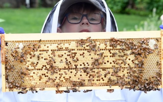 Good News: 7-Year-Old Beekeeper, Responsible LEGOs, and a Dog Rescue