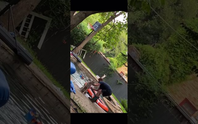 Watch a Man Save His Neighbor’s Dog from Drowning