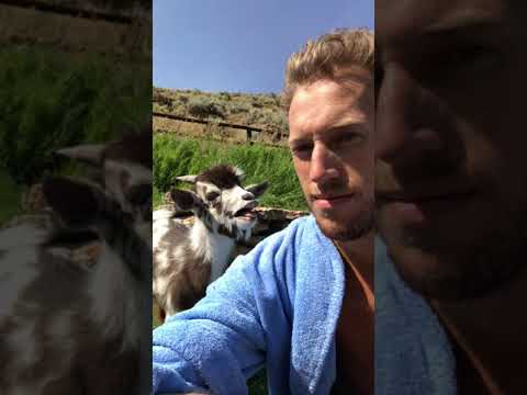 A Funny Argument Between a Man . . . and His Baby Goat