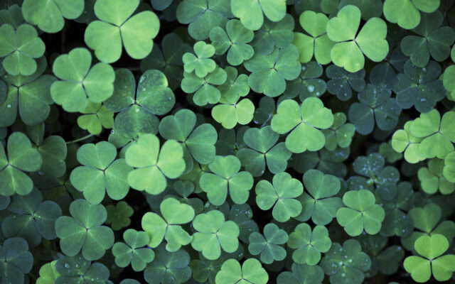 St. Patrick’s Day: 31% of People Don’t Think Their Lucky Charms Work?