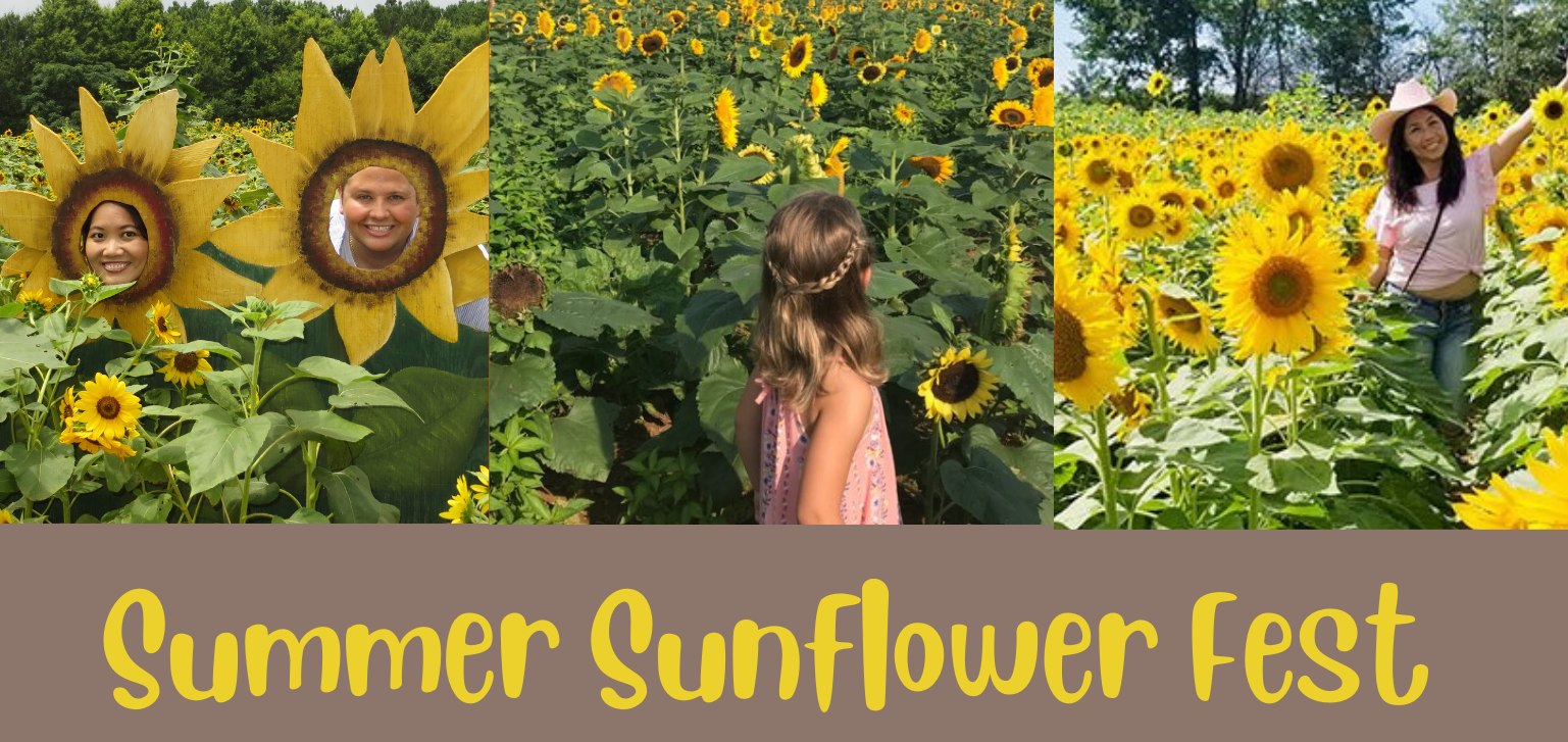 <h1 class="tribe-events-single-event-title">Summer Sunflower Fest</h1>