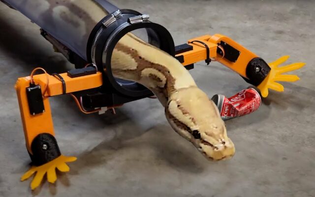 A Guy Gave a Snake a Set of Robotic Legs