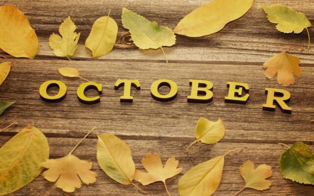 Four Things to Look Forward to in October