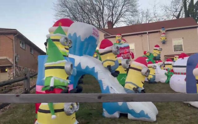 A Front Yard Totally Covered with Inflatable Christmas Minions